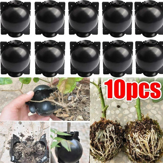10Pcs Reusable Plant Root Growing Box Cutting Grafting Rooting Ball Garden Rooting Propagation Ball S Breeding Equipment